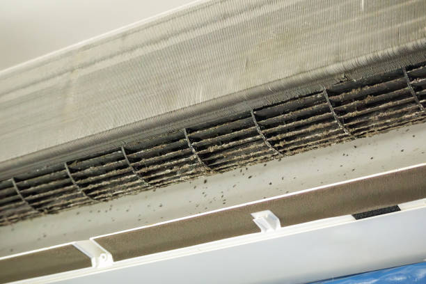 Best Affordable HVAC Duct Cleaning  in Gardnerville, NV
