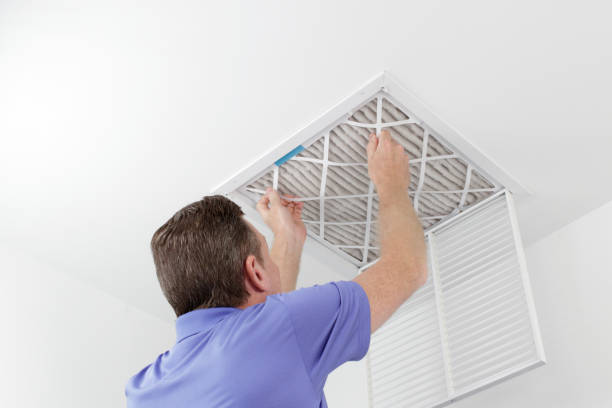 Best Local Air Duct Cleaning Services  in Gardnerville, NV